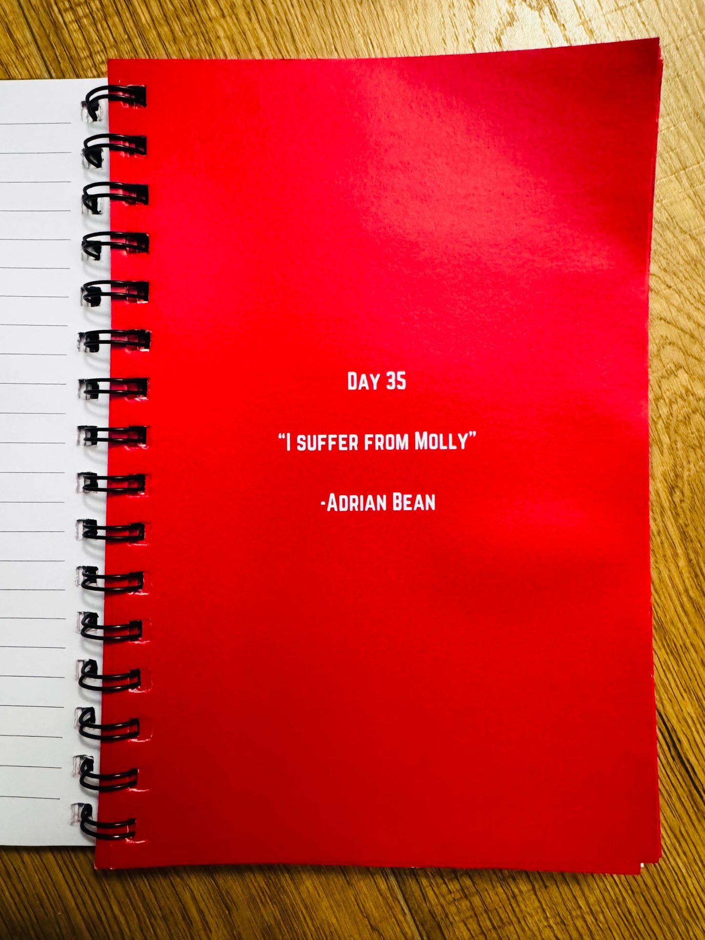 Exhibit F YSL Trial Journal
